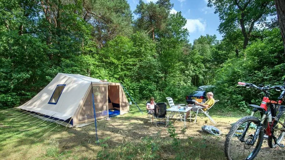 RCN de Noordster in Dwingeloo, Drenthe - Bild 10