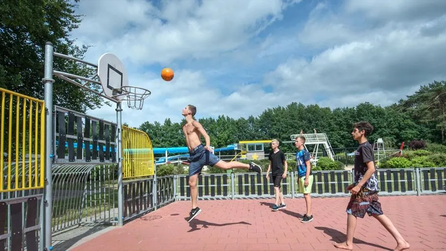 RCN de Noordster in Dwingeloo, Drenthe - Bild 13
