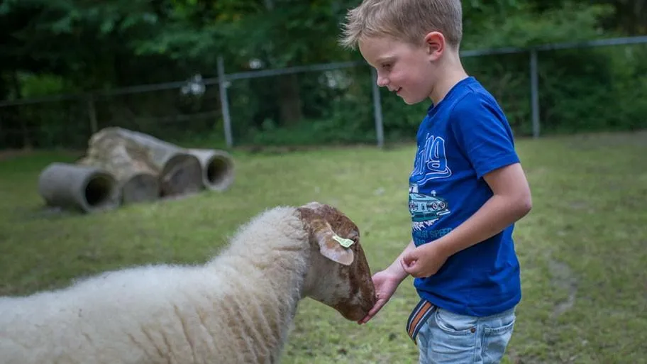 RCN de Noordster in Dwingeloo, Drenthe - Bild 7