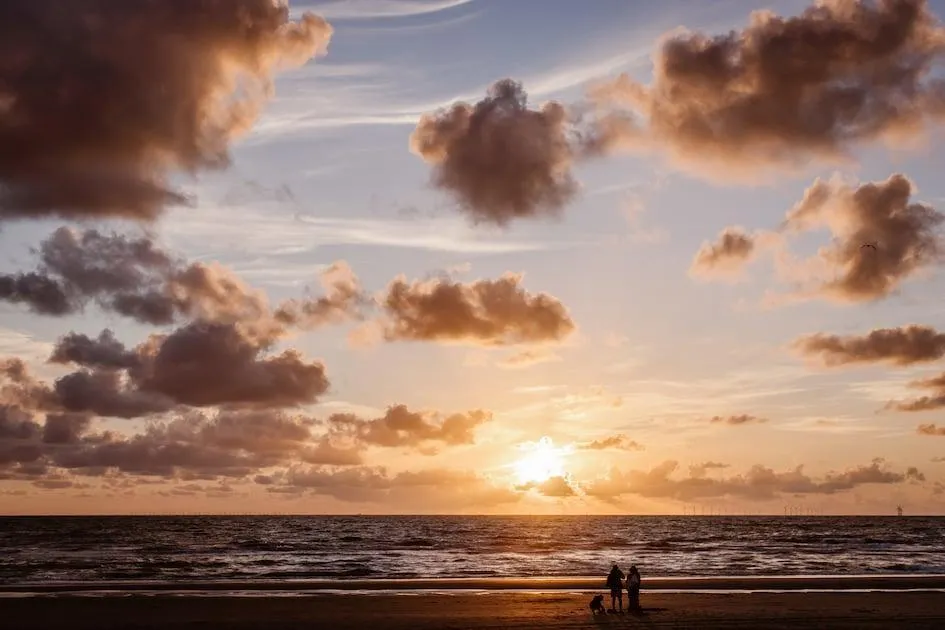Roompot Beach Houses Zandvoort in Zandvoort, Nordholland – Bild 9
