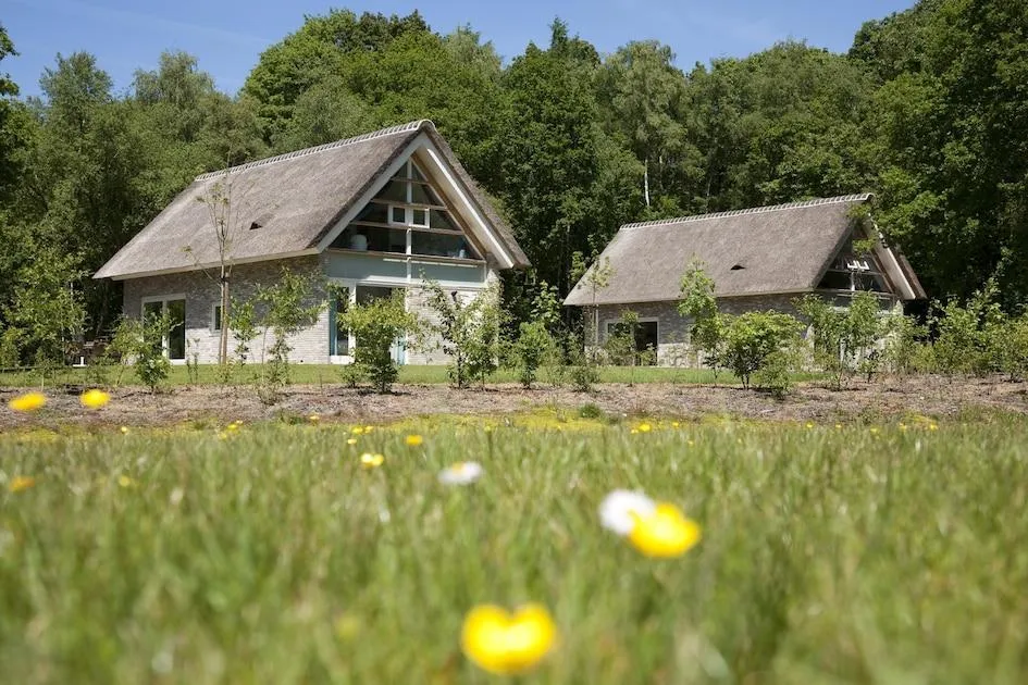 Roompot Buitenplaats De Marke van Ruinen in Ruinen, Drenthe – Bild 5