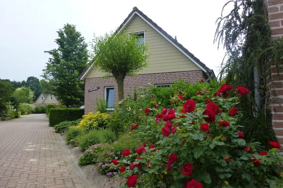 Roompot Bungalowpark De Riethorst in Plasmolen, Limburg - Bild 7