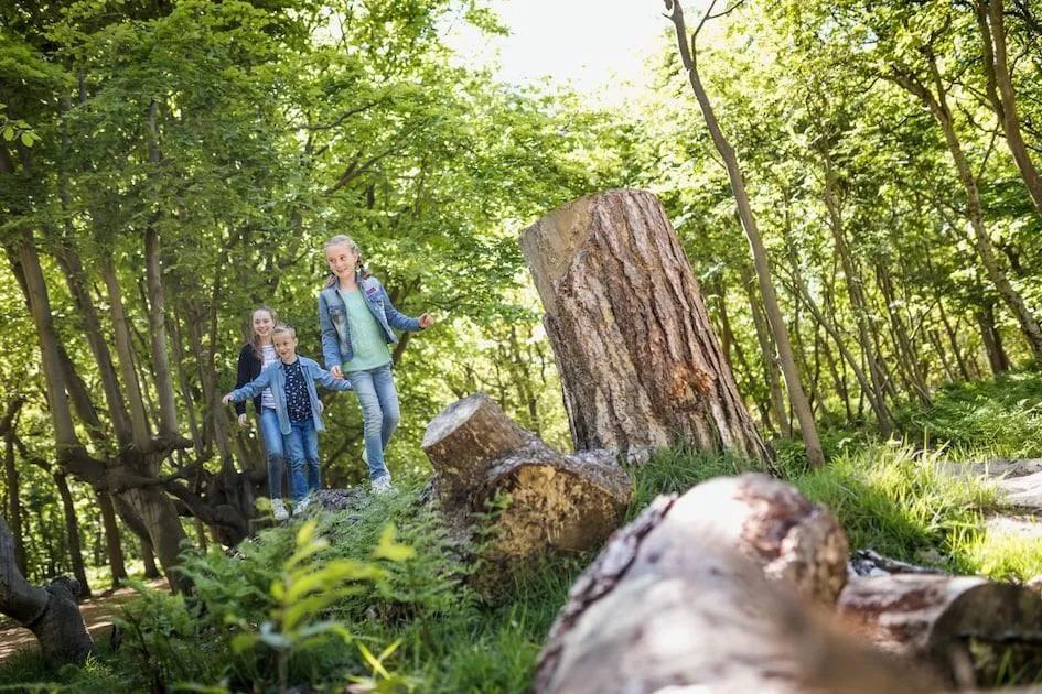 Roompot Ferienpark De Berkenhorst in Kootwijk, Gelderland – Bild 12