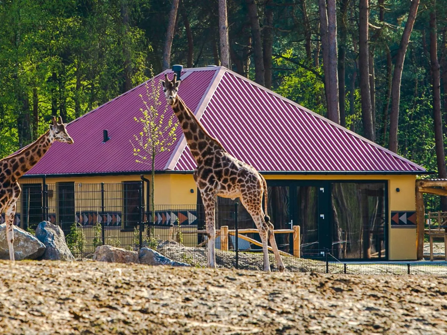 Safari Resort Beekse Bergen