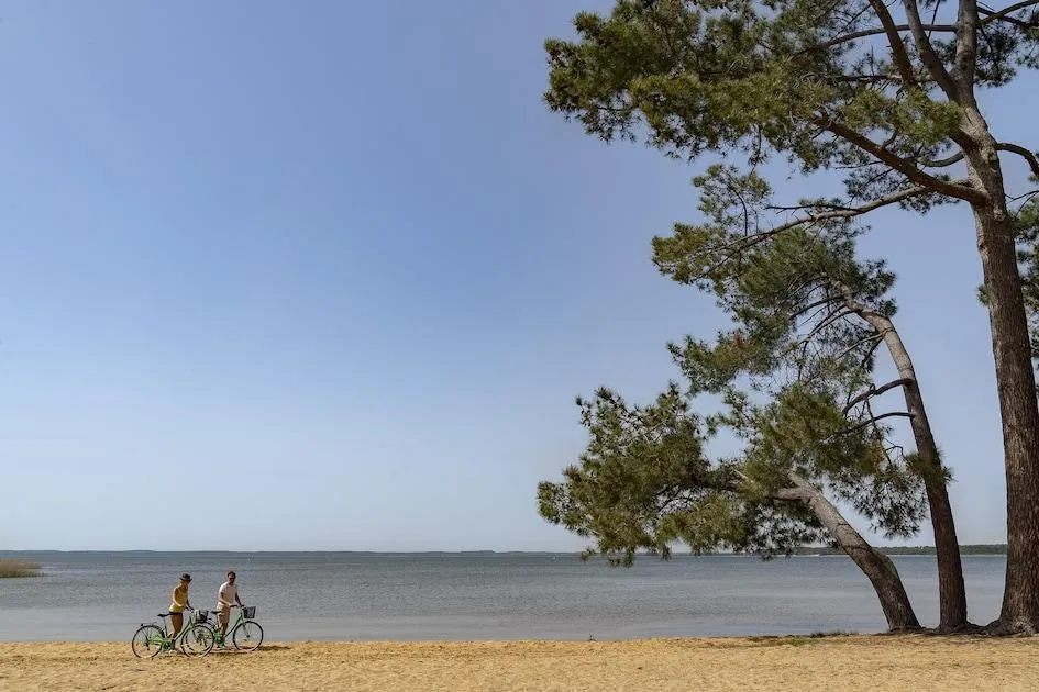 Sanguinet Plage in Sanguinet, Aquitanien – Bild 1