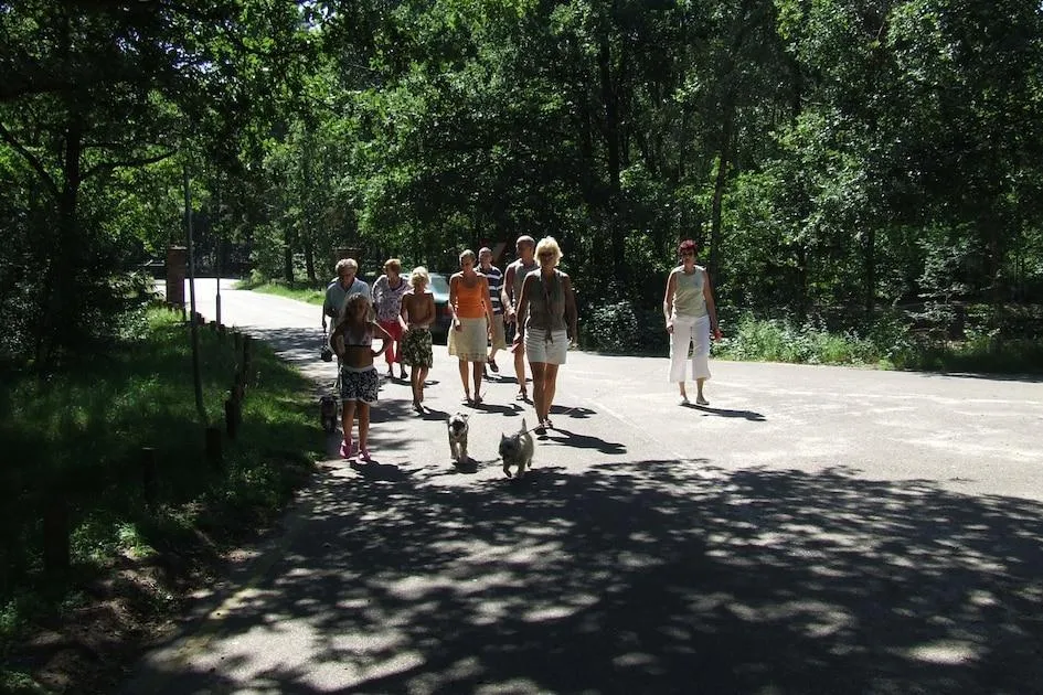 Vakantiepark Herperduin in Herpen, Nordbrabant - Bild 3