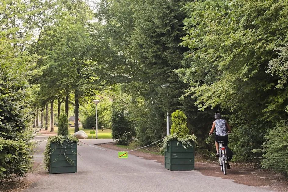 Vakantiepark Het Drentse Wold in Hoogersmilde, Drenthe - Bild 10