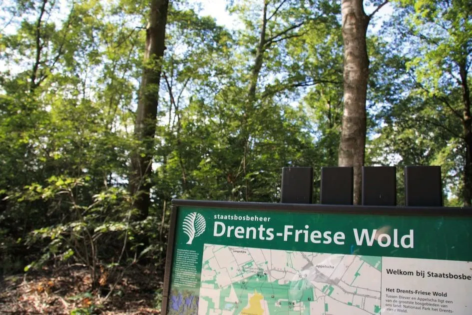 Vakantiepark Het Drentse Wold in Hoogersmilde, Drenthe - Bild 13