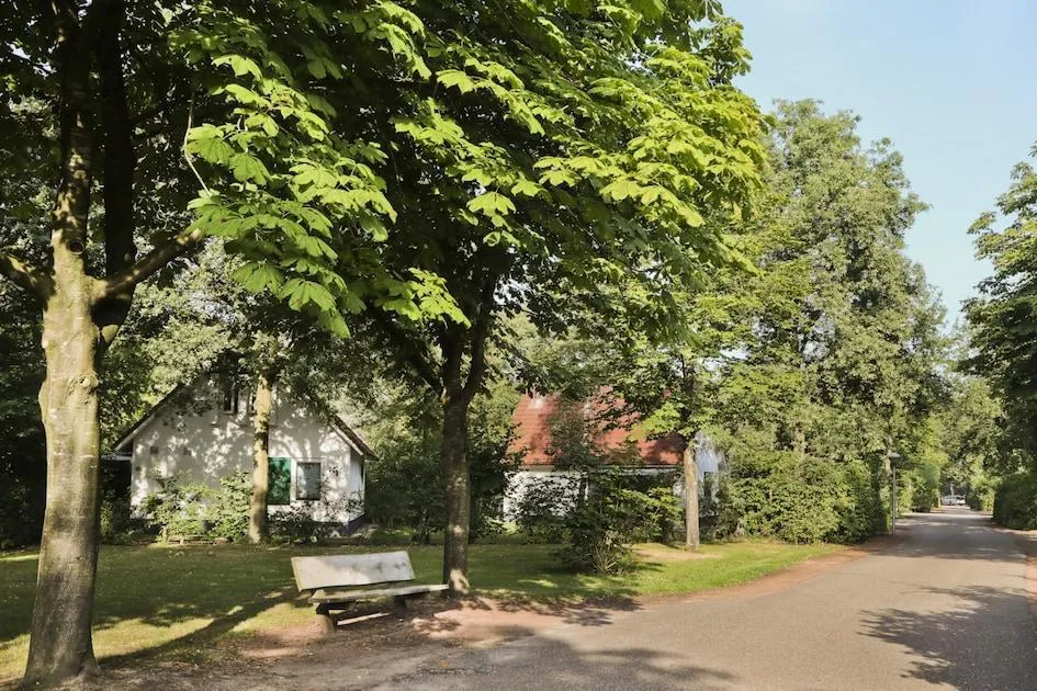 Vakantiepark Het Drentse Wold in Hoogersmilde, Drenthe - Bild 14