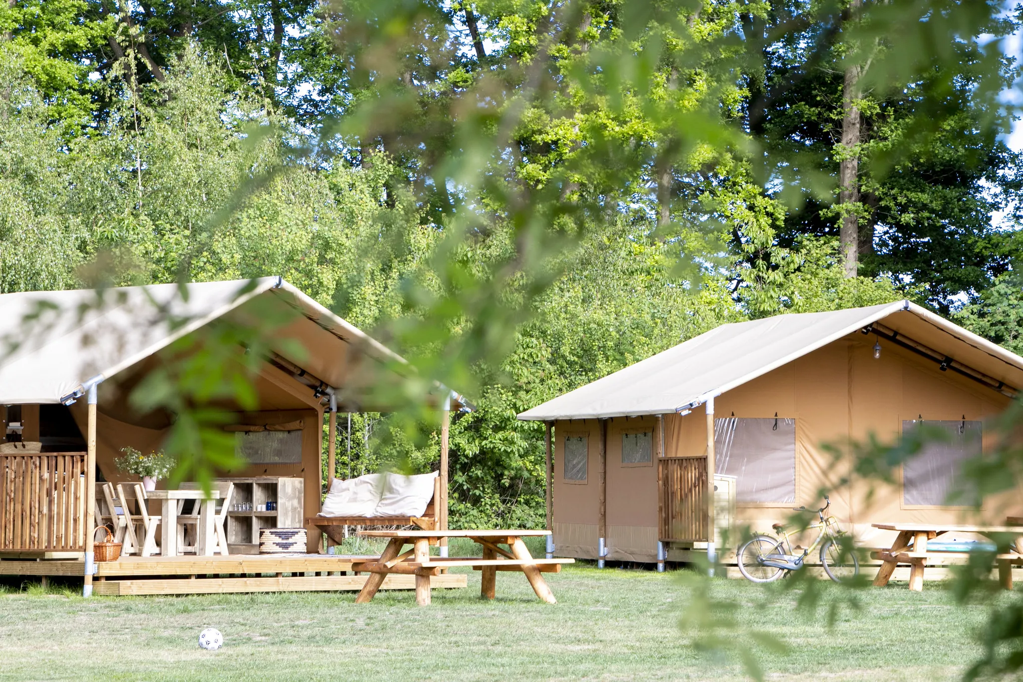 Safarizelt für 5 Personen im Ferienpark Witterzomer