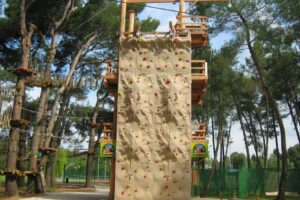 Bi-Village 7 Bi-Village_pic6