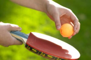 Roompot Vakantiepark Bos en Duin - Erholung und Natur pur 6 Bos-en-Duin_pic5