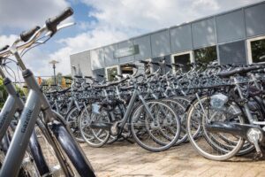 Roompot Bospark 't Wolfsven - Erholung inmitten der Natur 10 Bospark-t-Wolfsven_pic9