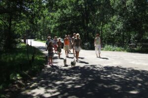 Roompot Bungalowpark Herperduin 4 Bungalowpark-Herperduin_pic3