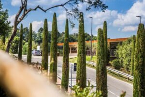 Camping-Norcenni-Girasole_pic1