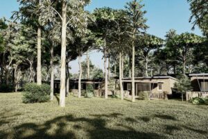 Cap Sud 15 Cap-Sud_pic14