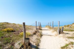 Domaine Le Midi 2 Domaine-Le-Midi_pic1