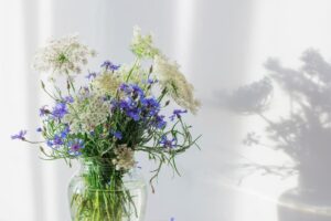 Duinresort Dunimar - Erholung und Natur pur an der niederländischen Küste 13 Duinresort-Dunimar_pic12