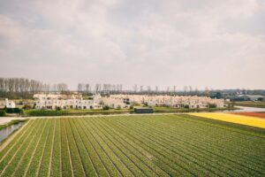 Duinresort Dunimar - Erholung und Natur pur an der niederländischen Küste 10 Duinresort-Dunimar_pic9