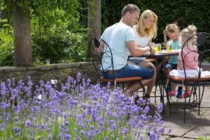 Eifelpark-Kronenburger-See_pic5