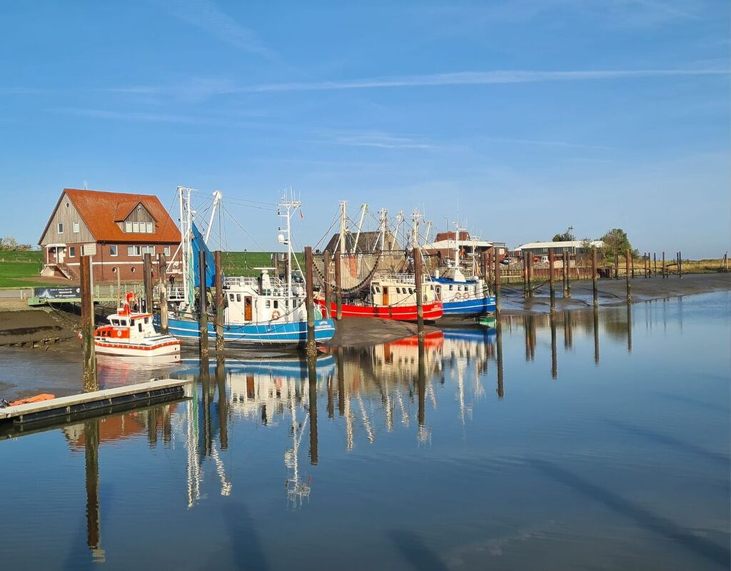 Feriendorf Eckwarderhörne