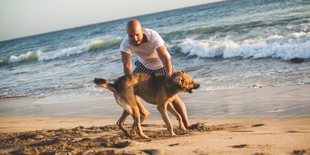 Ferienparks mit Hund in Holland am Meer - Meine Empfehlungen