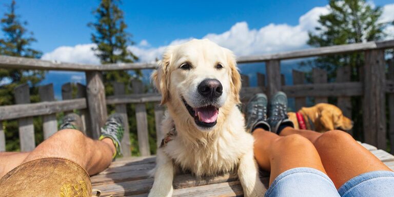 Alle Ferienparks mit Hund in Österreich auf einer Karte