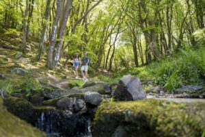 L'Anse du Brick 7 LAnse-du-Brick_pic6