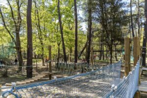 L'Orée du Bois 3 LOree-du-Bois_pic2