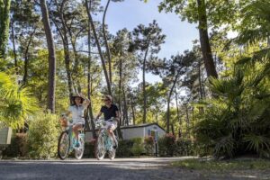 L'Orée du Bois 4 LOree-du-Bois_pic3