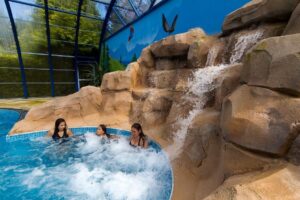 La Ribeyre 10 La-Ribeyre_pic9