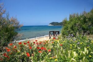 Park Albatros 5 Park-Albatros_pic4