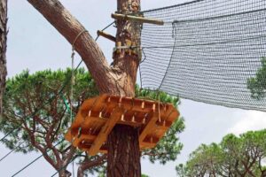 Park Albatros 8 Park-Albatros_pic7