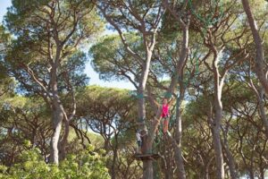 Park Albatros 9 Park-Albatros_pic8