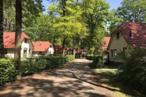 Roompot Recreatiepark De Tolplas - Erholung inmitten der Natur 11 Recreatiepark-De-Tolplas_pic10