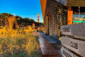 Roompot Ameland - Erholung und Natur auf der Insel 4 Roompot-Ameland_pic3