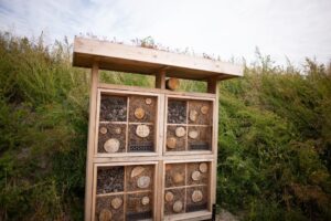 Roompot-Callantsoog_pic8