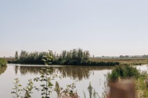 Roompot Park Veerse Kreek - Erholung und Natur pur am See 11 Roompot-Park-Veerse-Kreek_pic10