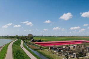 Roompot Park Wijdenes - Erholung inmitten der Natur 13 Roompot-Park-Wijdenes_pic12