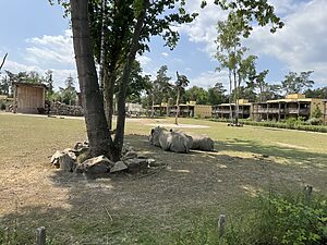 Safari Resort Beeksebergen Appartements mit Blick auf Nashörner