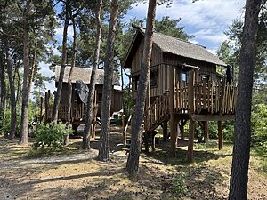Safari Resort Beeksebergen Baumhaus