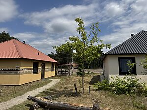 Safari Resort Beeksebergen mit Blick auf Giraffen