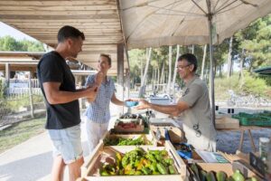 Soustons Village 15 Soustons-Village_pic14