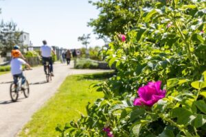 Roompot Vakantiepark Callassande - Erholung pur an der niederländischen Nordseeküste 5 Vakantiepark-Callassande_pic4