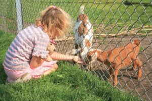 Roompot Villapark Akenveen 12 Villapark-Akenveen_pic11