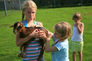 Roompot Villapark Akenveen 4 Villapark-Akenveen_pic3