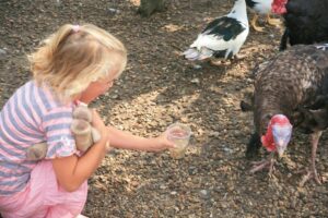 Roompot Villapark Akenveen 5 Villapark-Akenveen_pic4