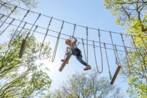 Villapark De Weerribben - Erholung inmitten der Natur 11 Villapark-de-Weerribben_pic10