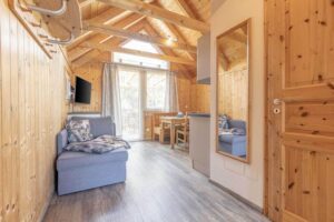 Alps Resorts FerienPark Kreischberg 3 alps-resorts-ferienpark-kreischberg_pic2