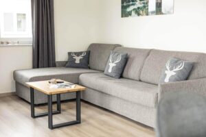 alps-resorts-inzell-chalets_pic3